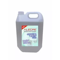 ALEGRE 5 Ltr Can Advance Toilet Cleaner-picture-43