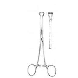 Alis 12cm/ 5 inch Baby-Babcock, A-GEN-079-12-picture-32