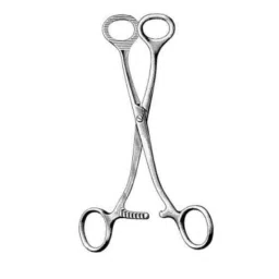 Alis 17cm/6 3/4 inch Collin, A-GEN-842-17 image 1