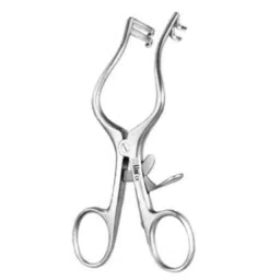 Alis 18cm/ 5 inch Plester 2: 2 Teeth Blunt, A-GEN-463-13-picture-27