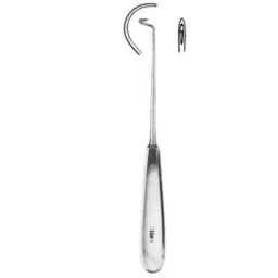 Alis 20cm/ 8 inch Deschamps Sharp Right Hand, A-GEN-107-20-picture-11