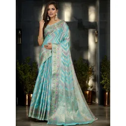 all about you Woven Design Zari Organza Banarasi Saree-picture-30