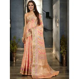 all about you Woven Design Zari Organza Banarasi Saree-picture-33