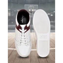 Allen Cooper Men Colourblocked Lightweight Sneakers-picture-15