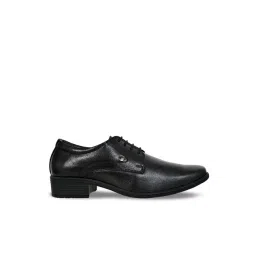 Allen cooper Men's Black Derby Shoes-picture-40