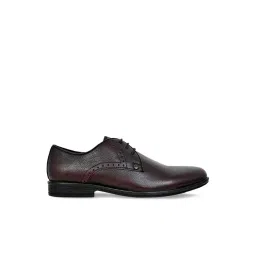 Allen cooper Men's Brown Brogue Shoes-picture-39