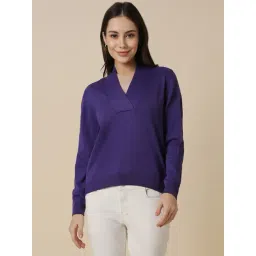 Allen Solly Blue Regular Fit Sweater-picture-43