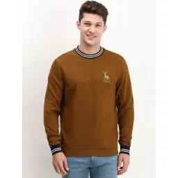 Allen Solly Brown Cotton Regular Fit Striped Sweatshirt-picture-14