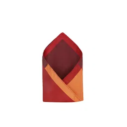 Allen Solly Colourblocked Pocket Square-picture-24