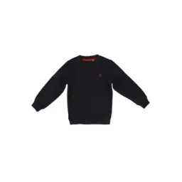 allen solly Embroidered Logo Crew-Neck Sweatshirt-picture-13