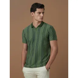 Allen Solly Green Cotton Regular Fit Striped Polo T-Shirt-picture-24