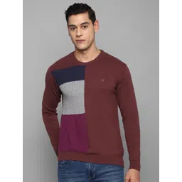 Allen Solly Men Colourblocked Cotton Pullover-picture-37