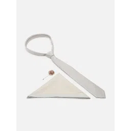 Allen Solly Men Grey Embroidered Party Tie, Pocket Square and Lapel Pin-picture-20