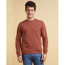 allen solly Men Regular Fit Crew-Neck Sweatshirt-picture-37