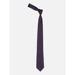 Allen Solly Men Woven Design Broad Tie image 2