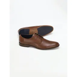 Allen Solly Men's Brown Derby Shoes-picture-11