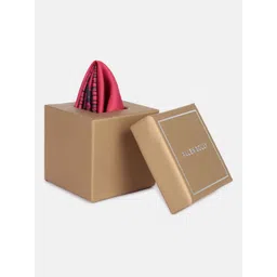 Allen Solly Printed Pocket Squares-picture-38