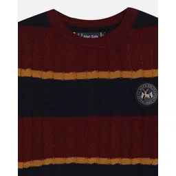 allen solly Boys Round-Neck Sweater with Full Sleeves image 3