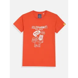 Allen Solly Junior Boys Typography Printed Round Neck Regular Fit Cotton T-shirt-picture-42