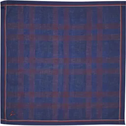 Allen Solly Mens Cotton Dark ["Multicolor"] Handkerchief image 5