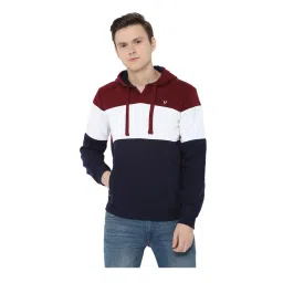 Solly Sport by Allen Solly Multicolor Striped Hooded Sweatshirt image 1
