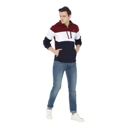 Solly Sport by Allen Solly Multicolor Striped Hooded Sweatshirt image 5