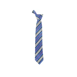 Alvaro Castagnino Blue Woven Tie-picture-27