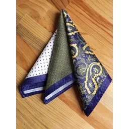 Alvaro Castagnino Men Blue & Gold Printed Pocket Squares-picture-23