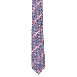 Alvaro Castagnino Men Blue & Red Striped Broad Tie-picture-16