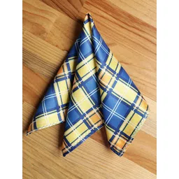 Alvaro Castagnino Men Blue & Yellow Checked Pocket Square-picture-38