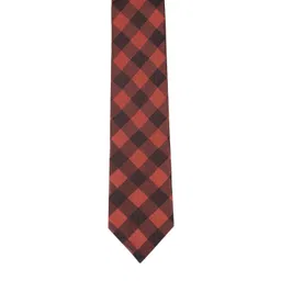 Alvaro Castagnino Men Brown & Black Checked Printed Skinny Tie-picture-28