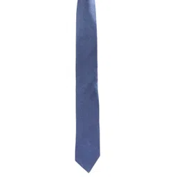 Alvaro Castagnino Men Printed Broad Tie image 4