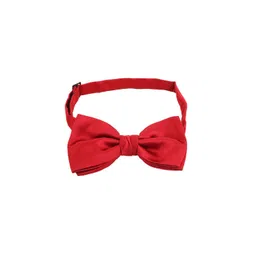 Alvaro Castagnino Men Red Bow Tie-picture-11