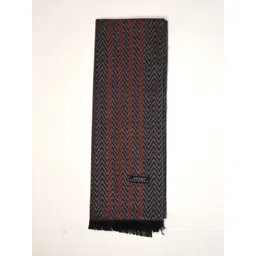 Alvaro Castagnino Men Striped Merino Wool Mufflers-picture-14