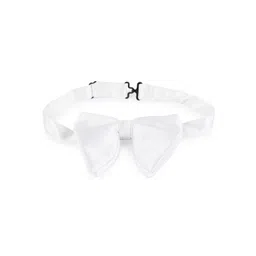 Alvaro Castagnino Men White Bow Tie-picture-30