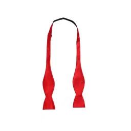 Alvaro Castagnino Red Solid Bow Tie-picture-43