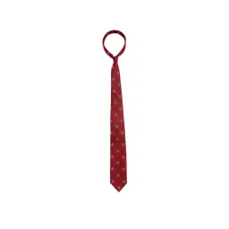 Alvaro Castagnino Red Woven Tie-picture-39