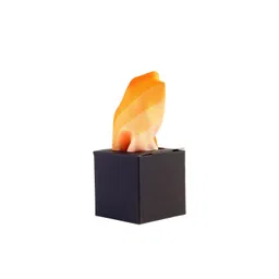 ALZ Colourblocked Pocket Squares-picture-18