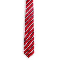 ALZ Men Striped Skinny Tie-picture-38