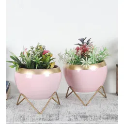 amaya decors Apple Shape Metal Pink & Gold Planter Set of 2-picture-17