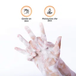 Amazon Brand - Solimo Germ-Protect Handwash Liquid, 5 Litre image 5