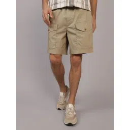 American Eagle Beige Regular Fit Cargo Shorts-picture-45