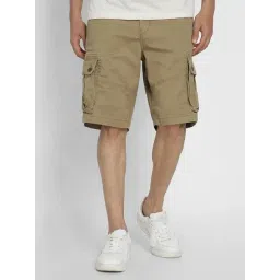 American Eagle Brown Cotton Regular Fit Cargo Shorts-picture-21