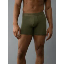 American Eagle Green Regular Fit Briefs-picture-17