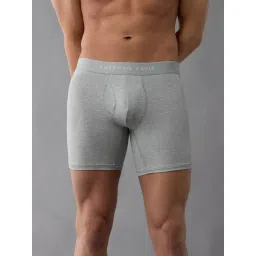 American Eagle Grey Regular Fit Briefs-picture-28