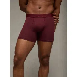 American Eagle Maroon Regular Fit Briefs-picture-46