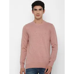 AMERICAN EAGLE OUTFITTERS Men Pink Solid Pullover-picture-12