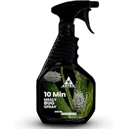 Amish Herbal Anti Mealy Bug Spray 500 ML | Removes Mealy Bugs And Fungus From Plants In 10 Minutes | 100% Herbal Actives & No Chemicals | Gentle On Plants And Promotes Plant Growth-picture-31