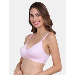 Amour Secret Pack of 2 Non-Wired Seamless T-shirt Bra image 5