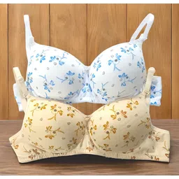 anamta Pack of 2 Women Push-up Lightly Padded Bra-picture-11